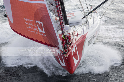 ROUTE DU RHUM DESTINATION GUADELOUPE 2014