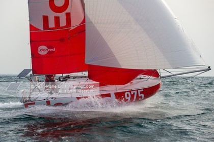 BASILE BOURGNON 2020 - MINI 650 EDENRED