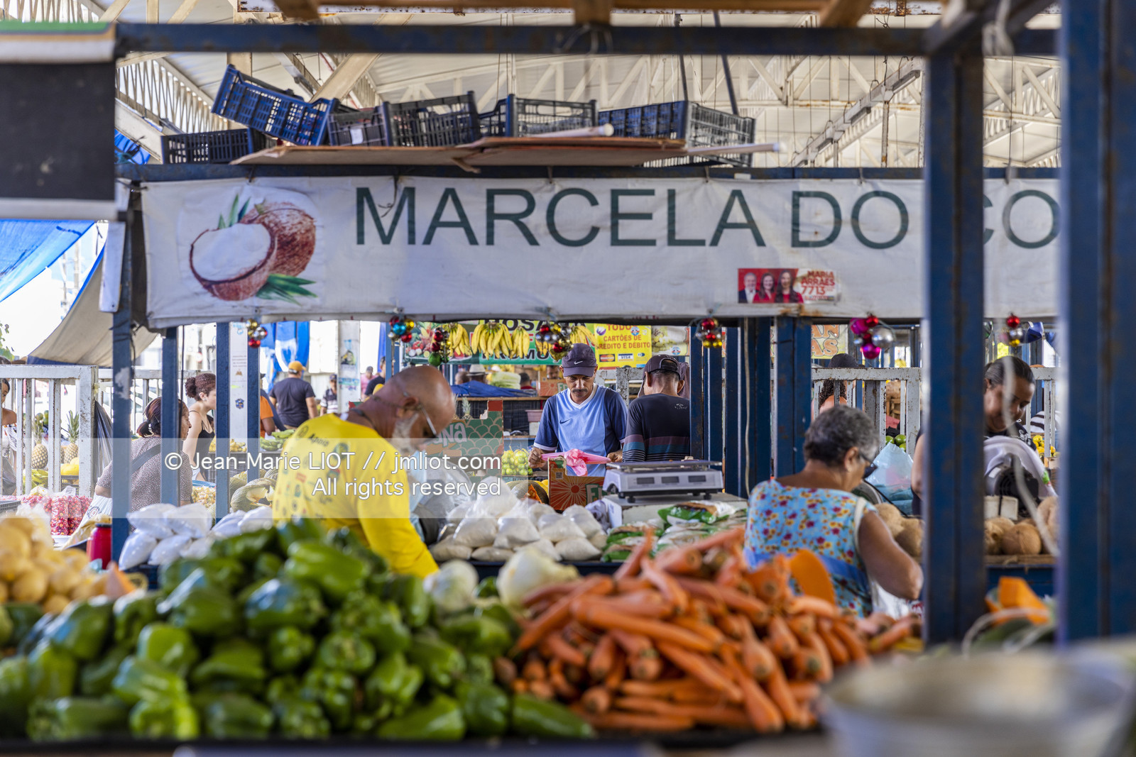 TRANSAT JACQUES VABRE 2013