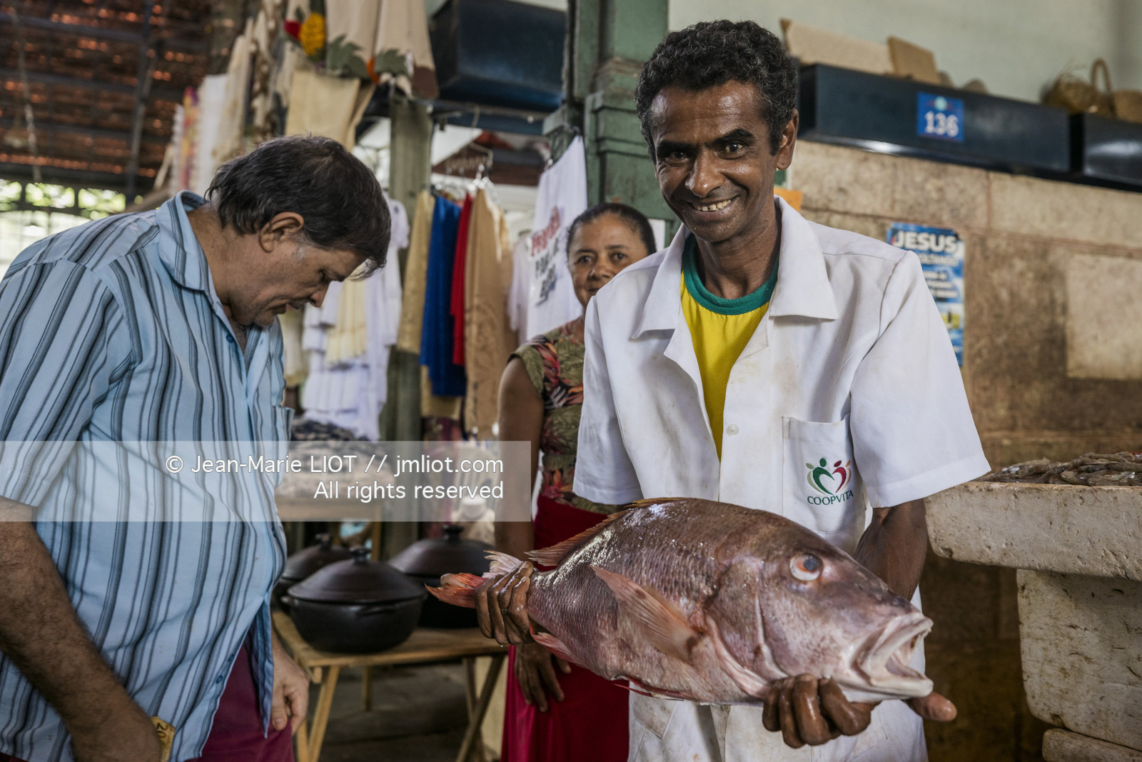 TRANSAT JACQUES VABRE 2013