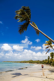 LA MARTINIQUE
