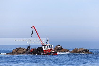 VOIILES ET VOILIERS - ILES OUBLIEES - ILE DE MOLENE