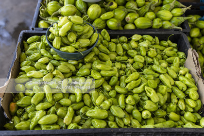 TRANSAT JACQUES VABRE 2013