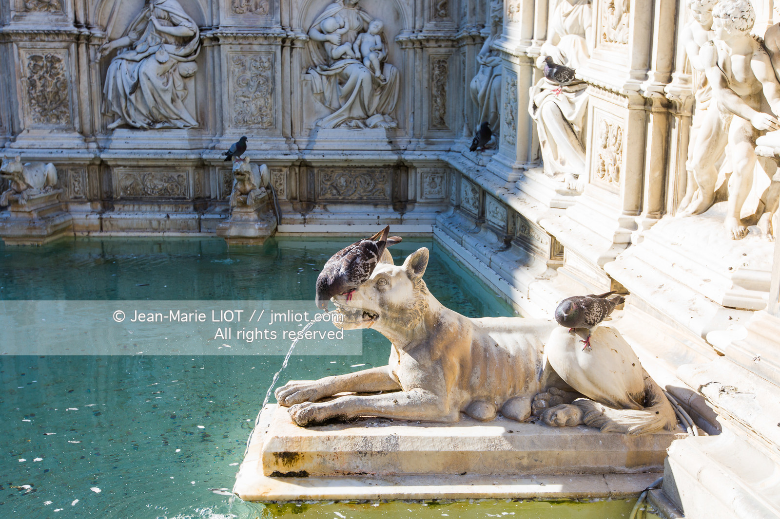Italie, Toscane,Italy, Tuscany, Sienne, fontaine de la Joie, Fonte gaia,