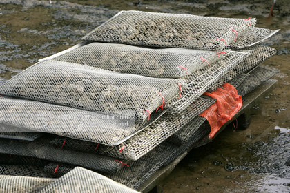 041227MORB_O8H6994 .jpg