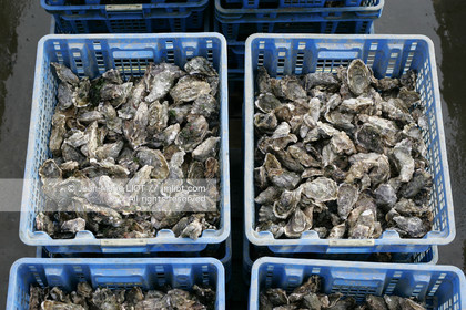 041227MORB_O8H6935 .jpg