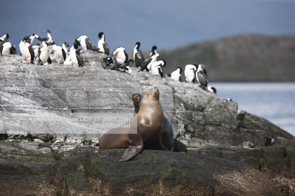 .Ushuaia, Tierra del Fuego is the southernmost city of globe.Situated to the tip of Argentina this province is the gateway to the antartique..photo © Jean-Marie Liot
