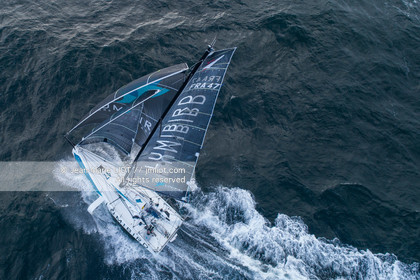 MICHEL DESJOYEAUX - FIGARO 3 LUMIBIRD 2019