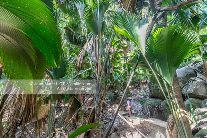 CROISIERE AUX ILES SEYCHELLES