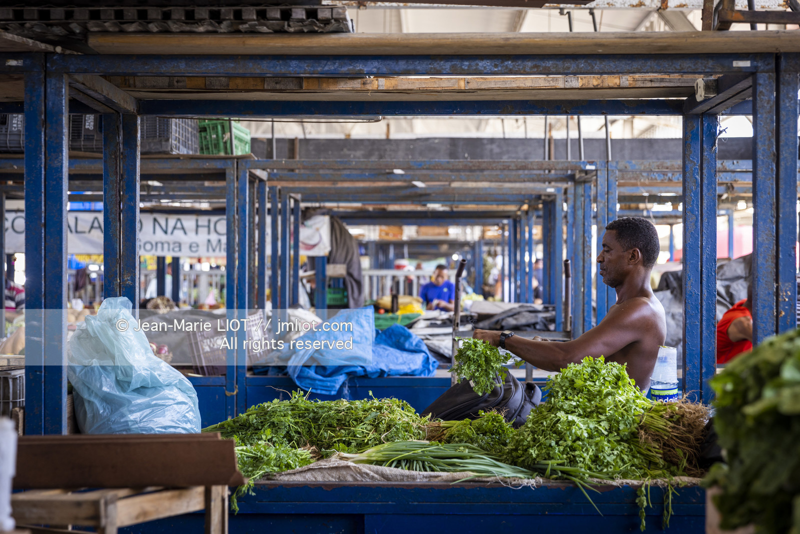 TRANSAT JACQUES VABRE 2013