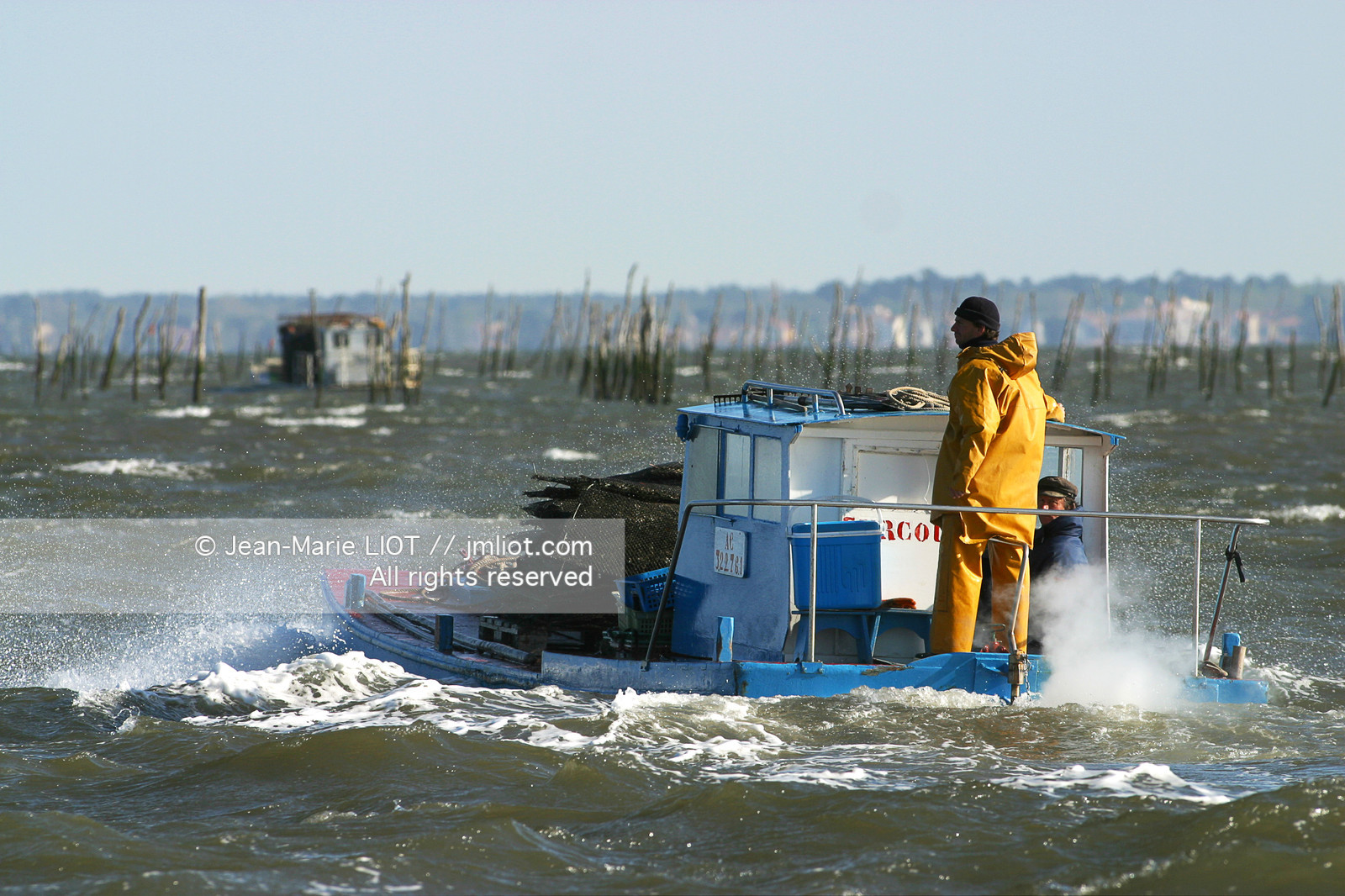 CHALANDS OSTREICOLES