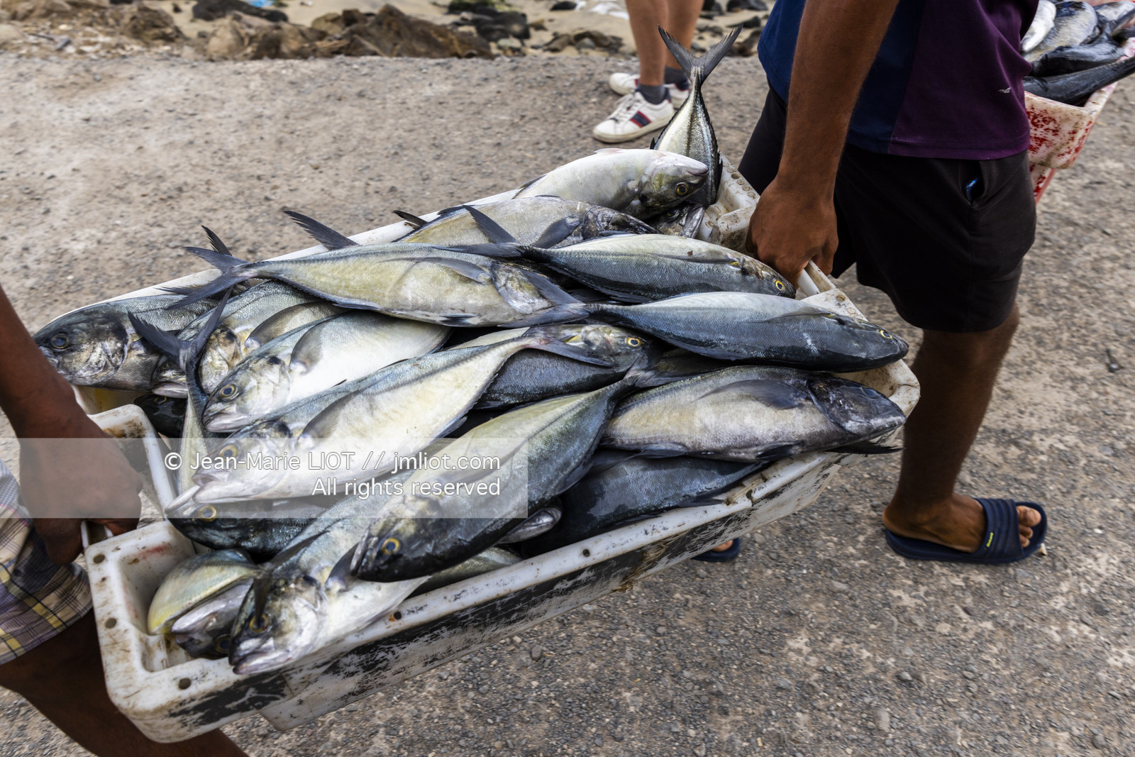 CAP VERT 2022 - ILE DE SAO VINCENTE