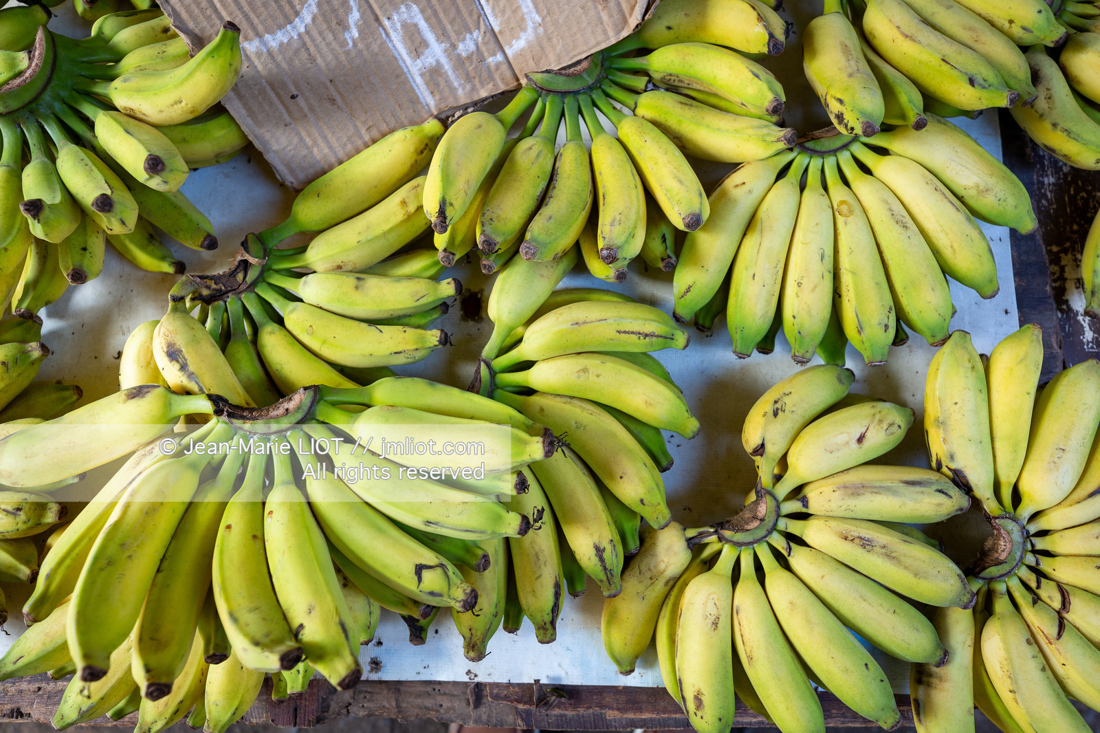 SALVADOR DE BAHIA-FOIRE DE SAO JOAQUIM