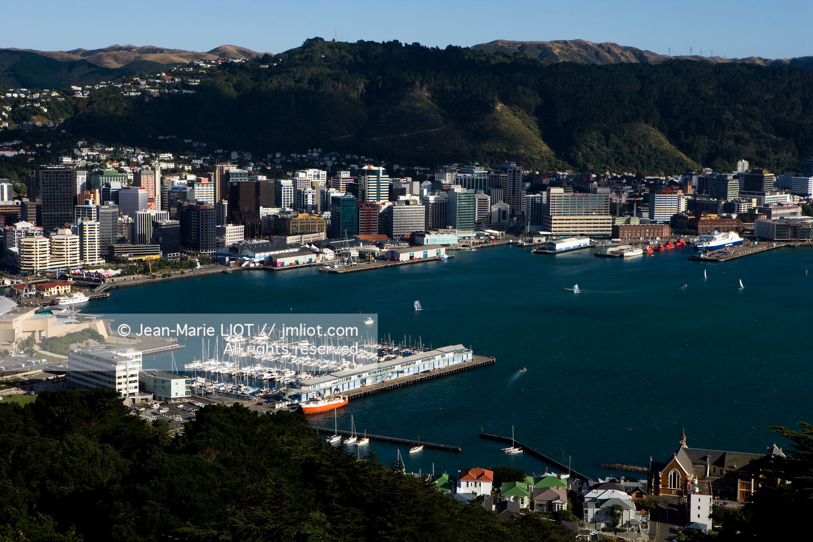 WELLINGTON 2008