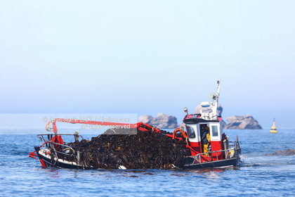 VOIILES ET VOILIERS - ILES OUBLIEES - ILE DE MOLENE