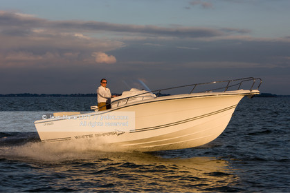 WHITE SHARK 246