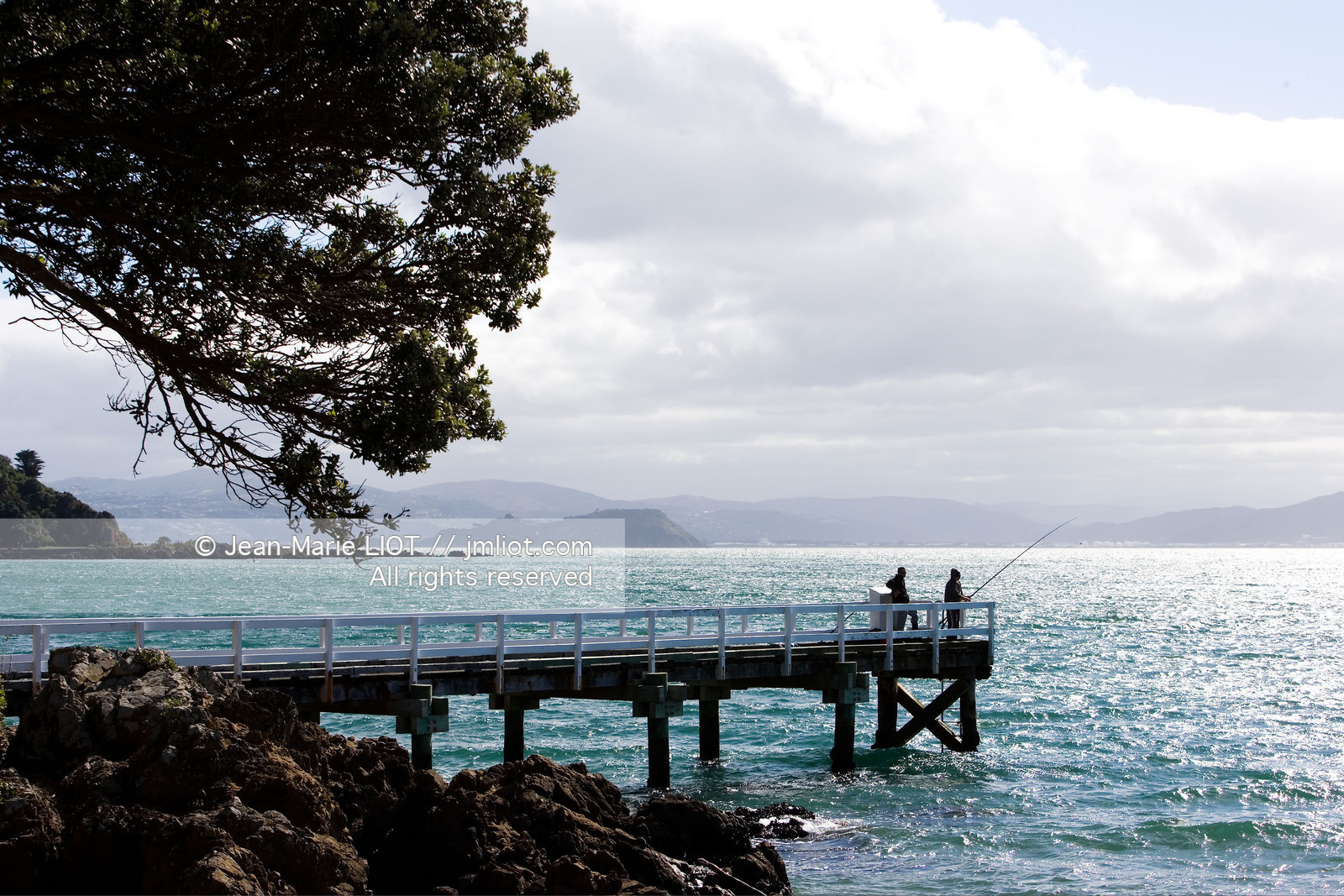 WELLINGTON-NOUVELLE ZELANDE