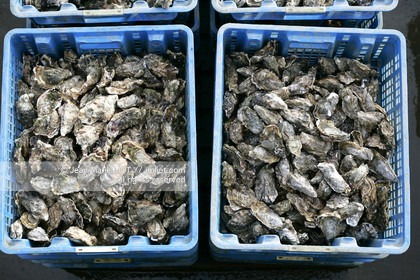 041227MORB_O8H6939 .jpg