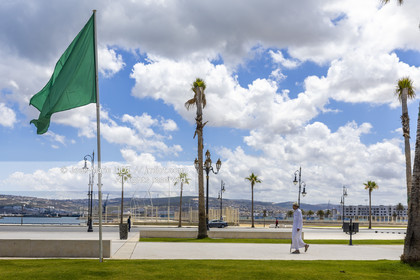 MAROC - TANGER - MEDINA