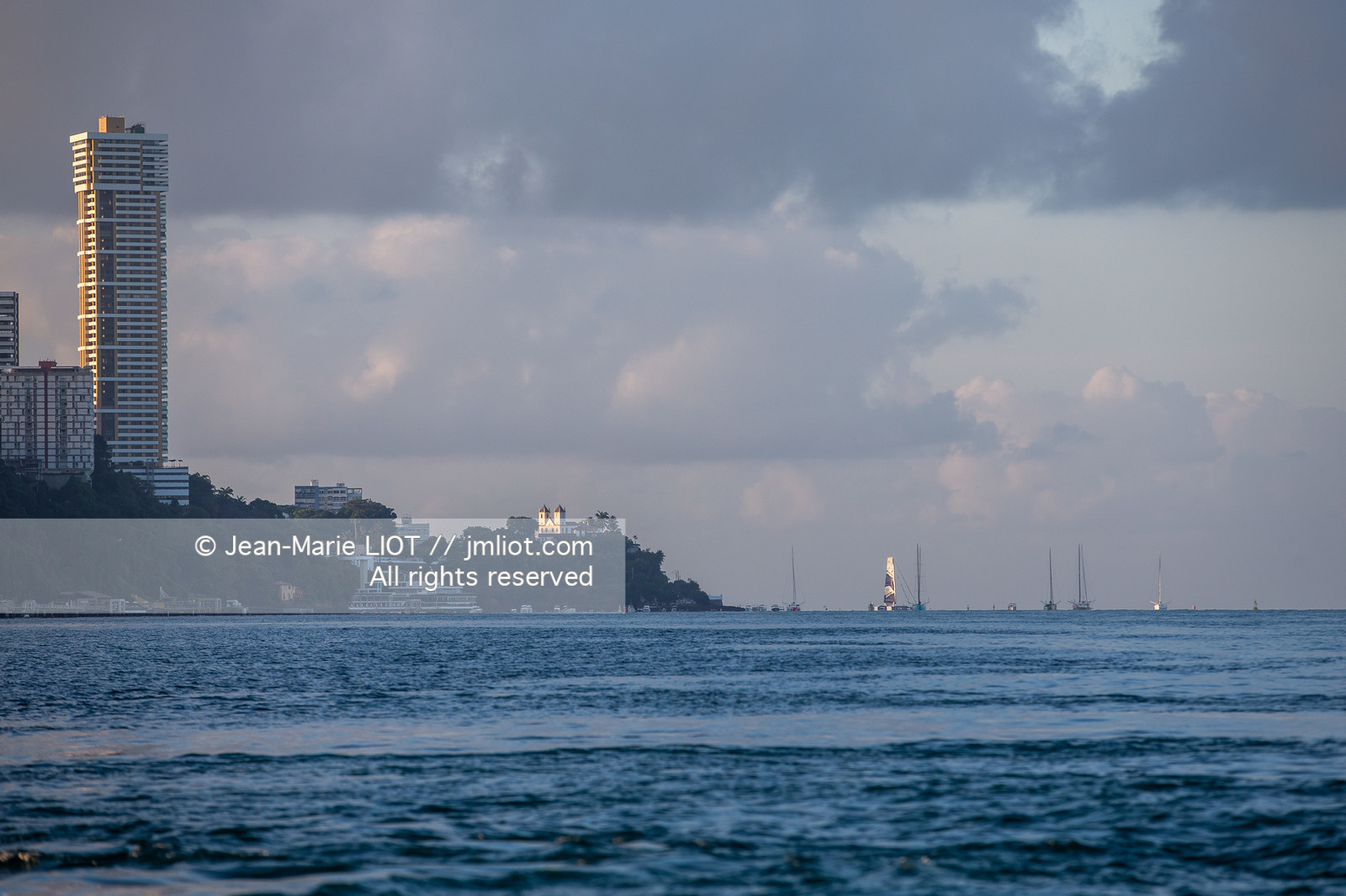 TJV2019 ARRIVEE LA MIE CALINE - ARTIPÔLE