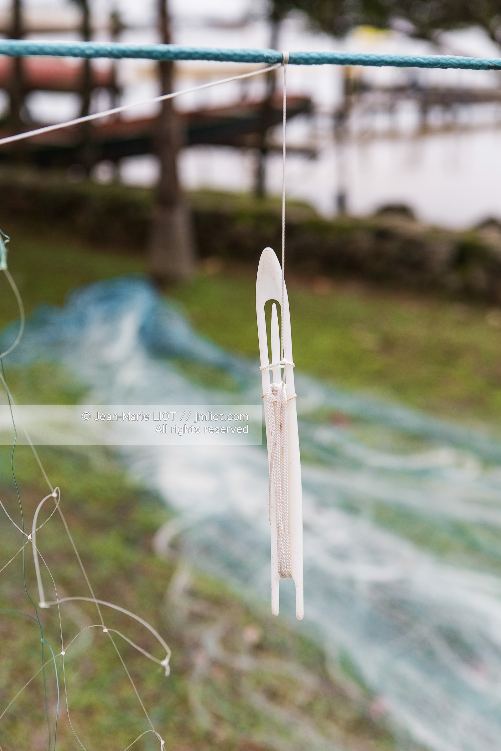 SAILING - TRANSAT JACQUES VABRE 2015 - ILLUSTRATION