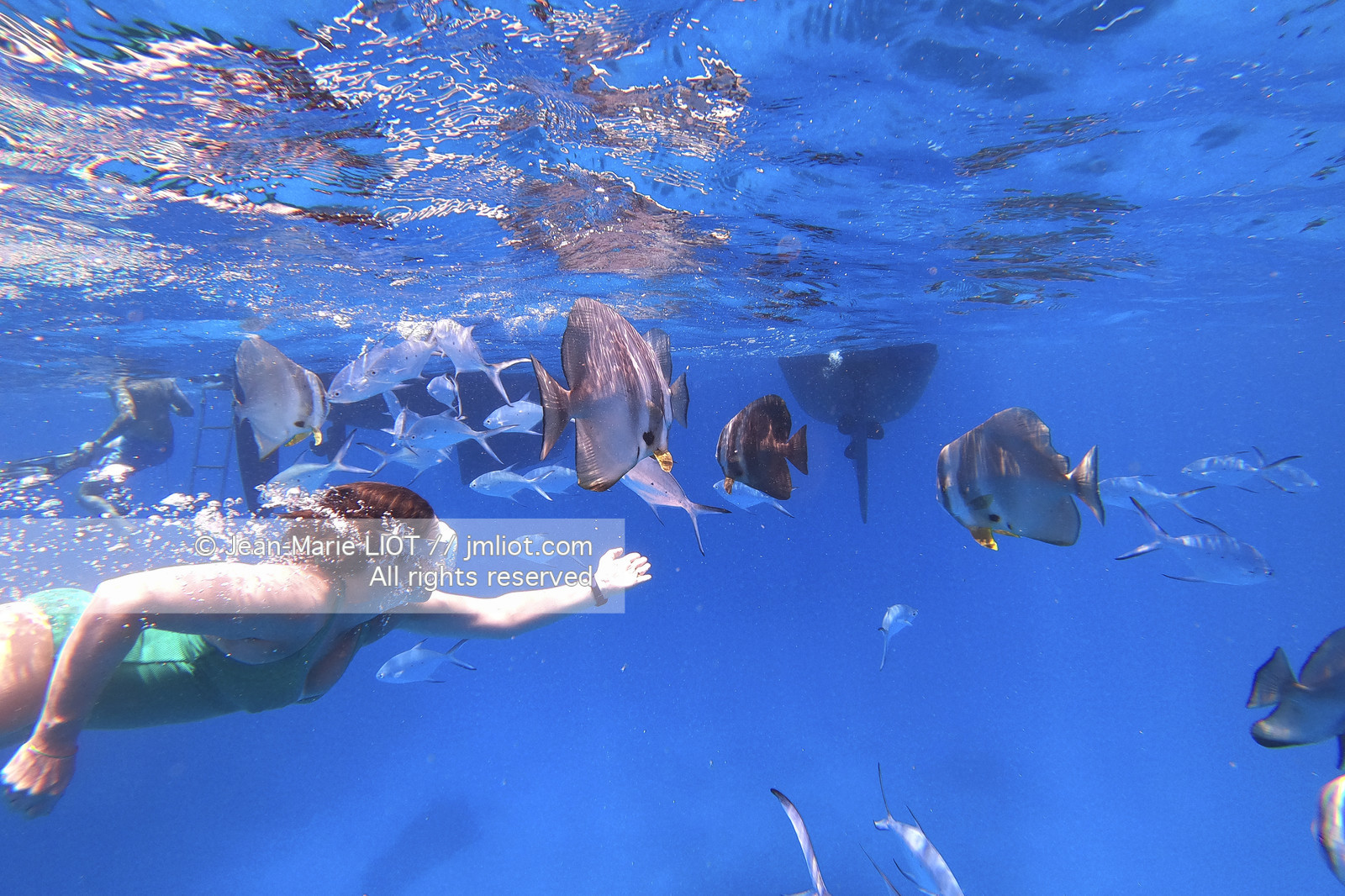 CROISIERE AUX ILES SEYCHELLES