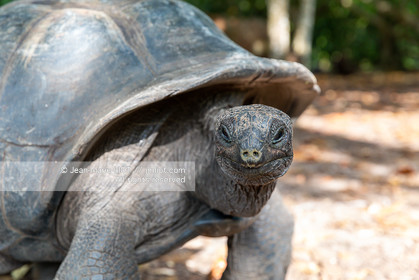 CROISIERE AUX ILES SEYCHELLES