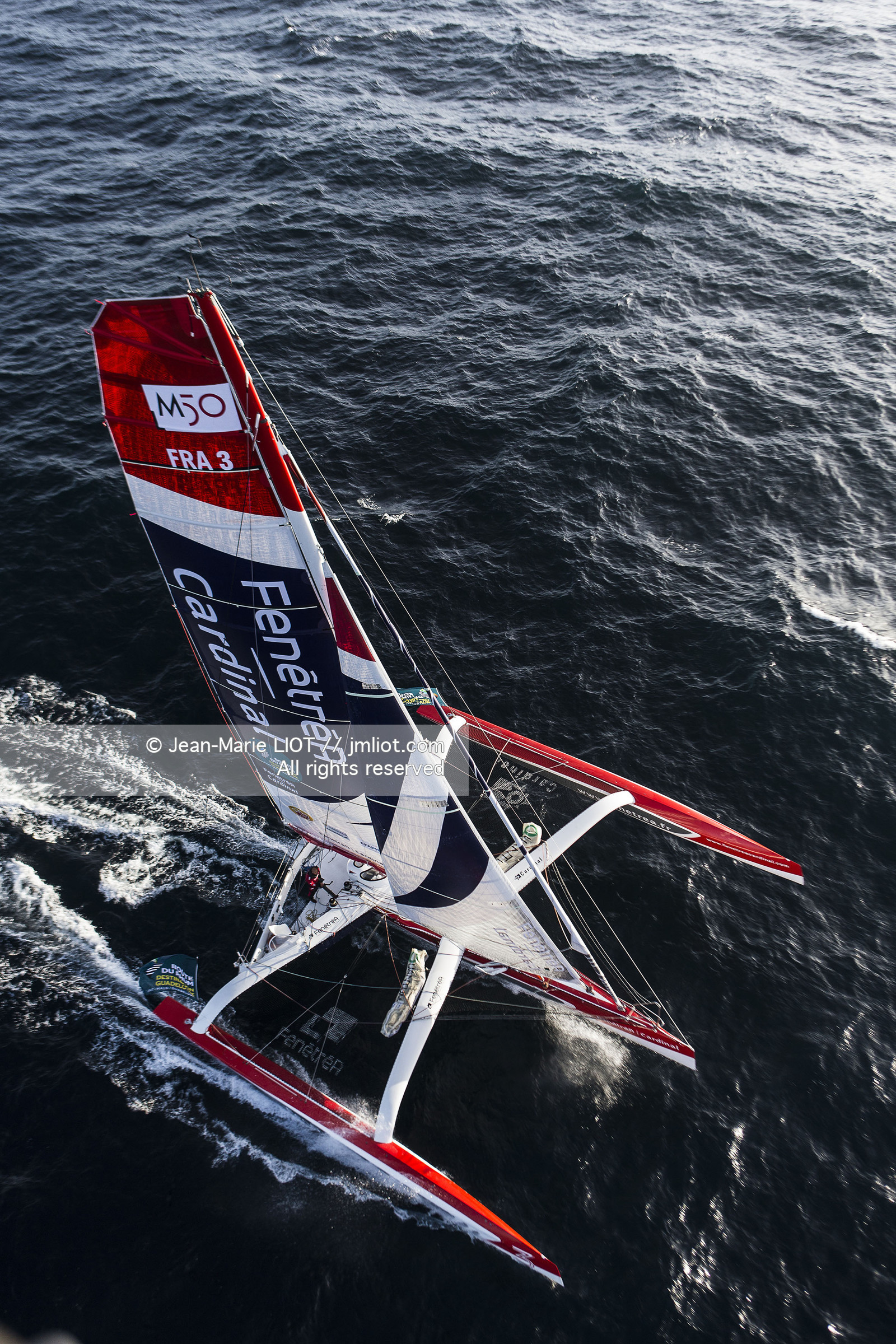 ROUTE DU RHUM 2014 - MULTI 50 FENETREA CARDINAL - ERWAN LE ROUX