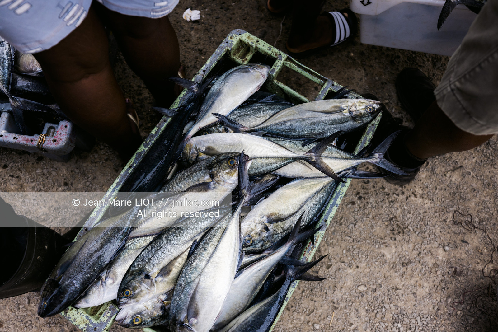 CAP VERT 2022 - ILE DE SAO VINCENTE