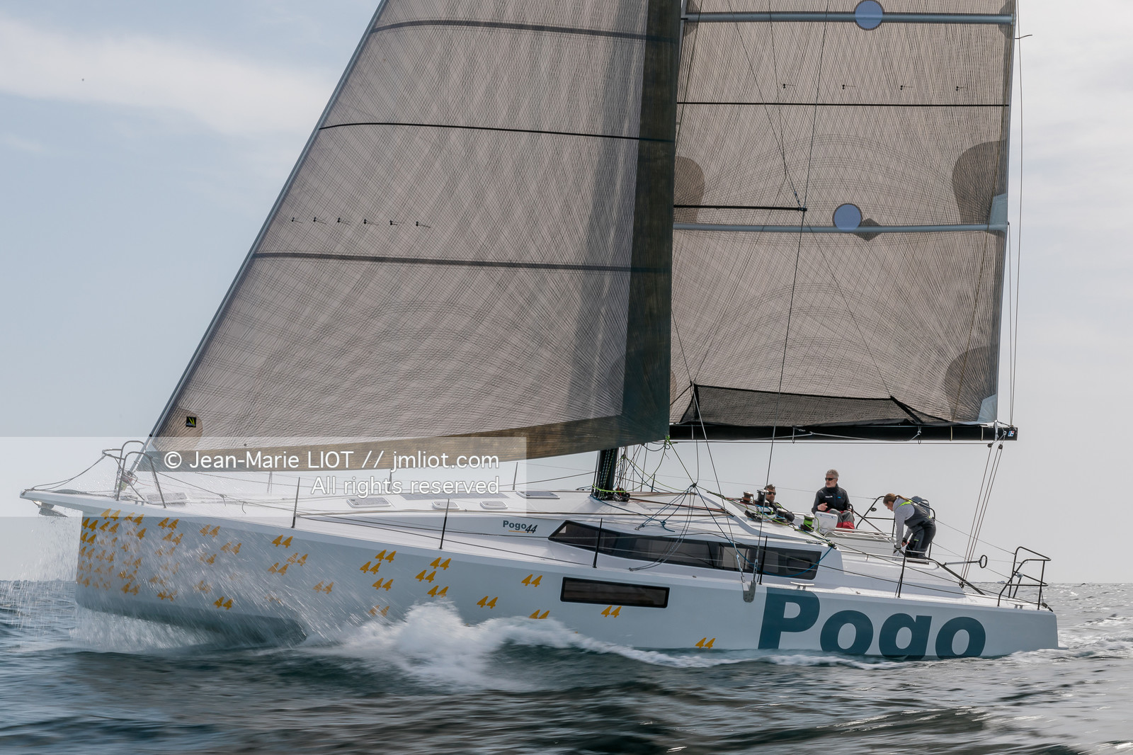 POGO 44