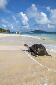 CROISIERE AUX ILES SEYCHELLES