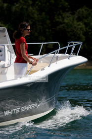 WHITE SHARK 226