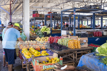 TRANSAT JACQUES VABRE 2013