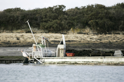 041227MORB_O8H6895 .jpg