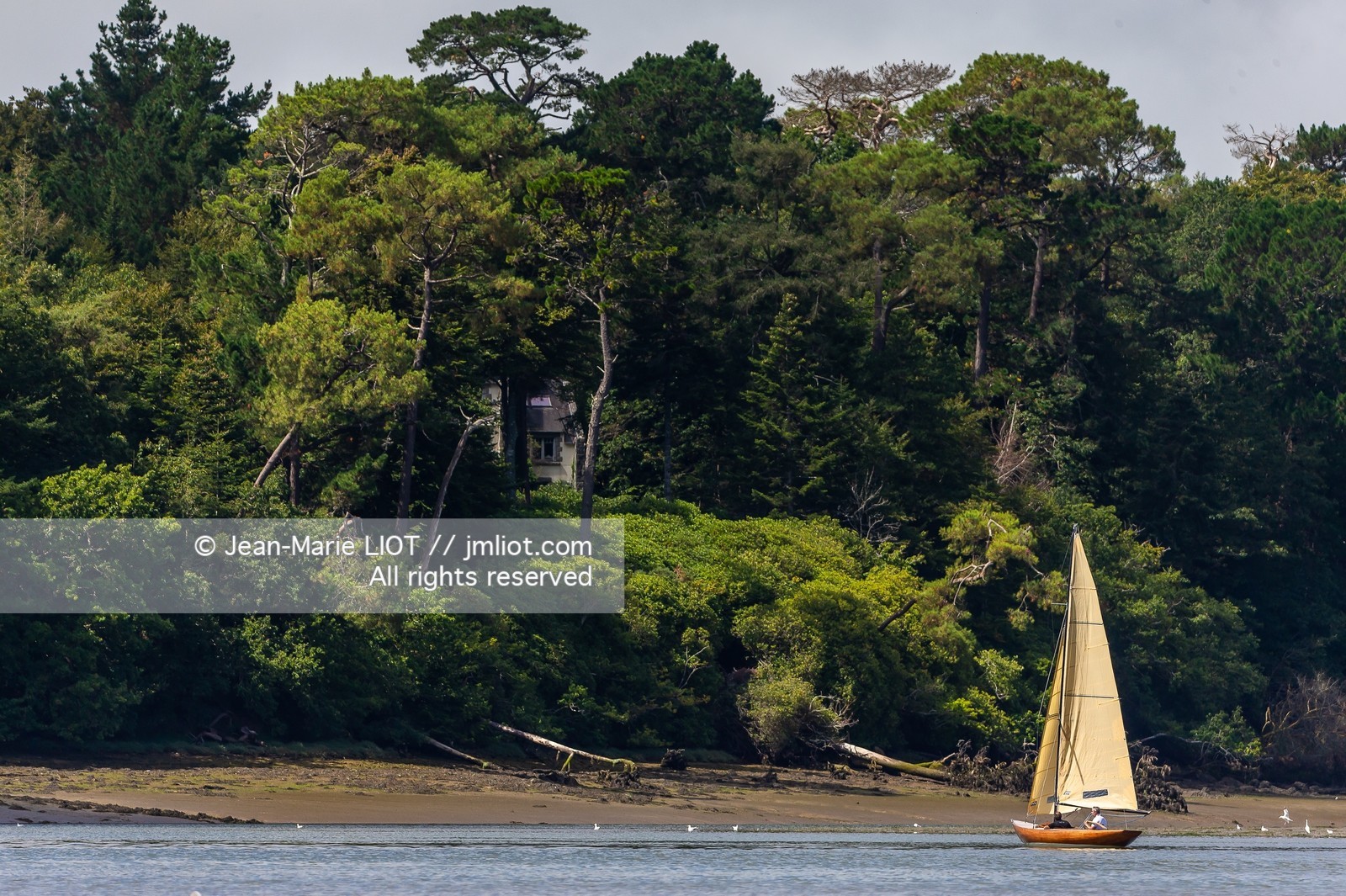 NAVIGATION INSOLITE 2020 - REMONTEE DE LA RIVIERE de L’ODET