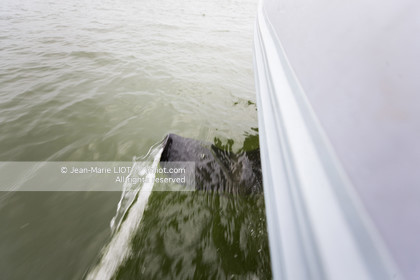 SEAIR - SEA TRIAL - 2018