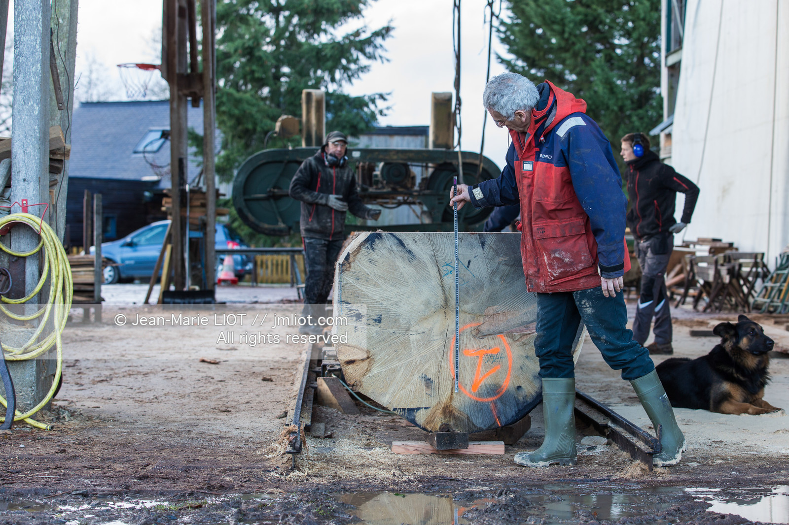 SCIERIE - DECOUPE DE BOIS