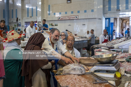 MAROC - TANGER - MEDINA
