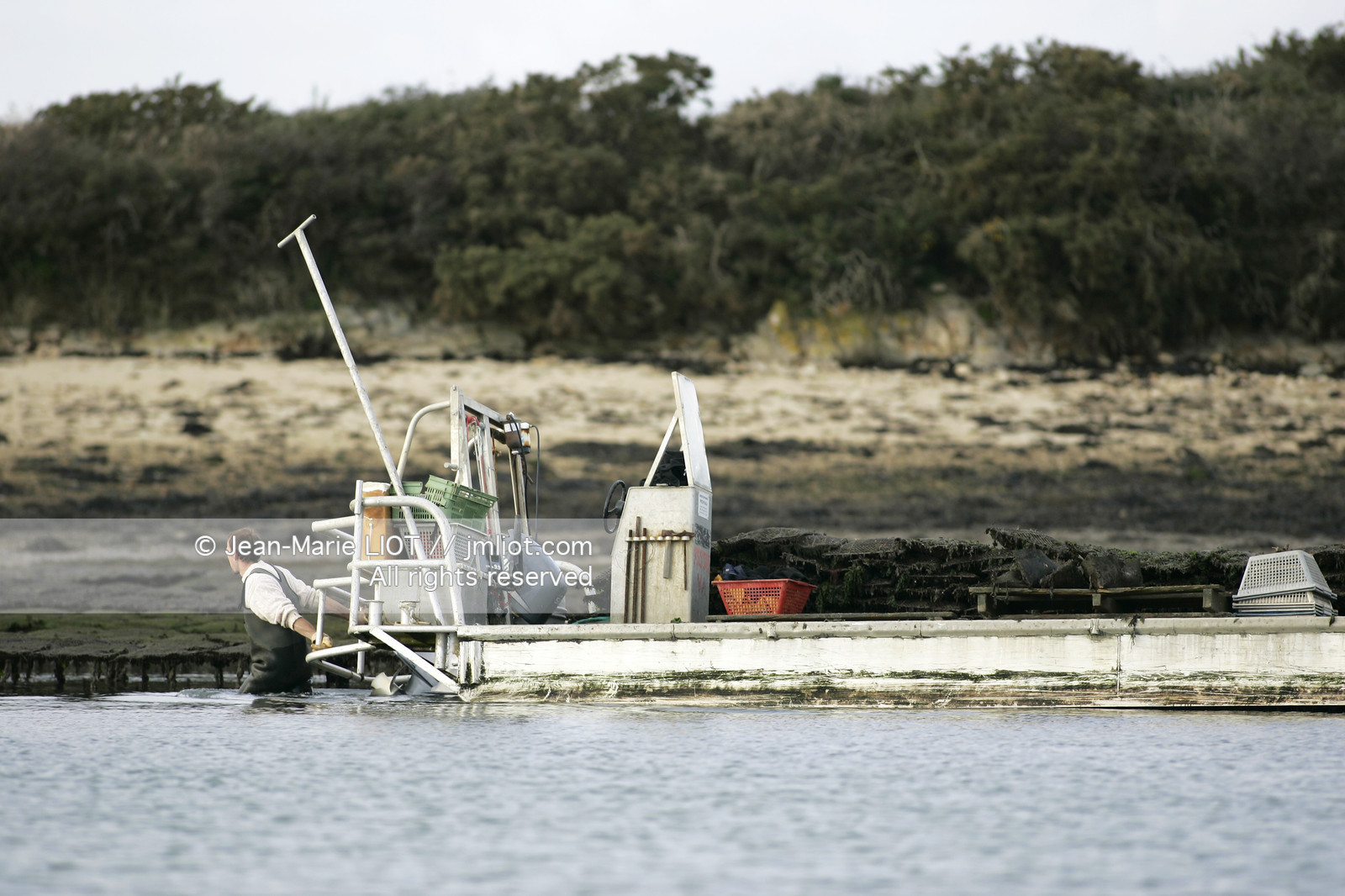 041227MORB_O8H6895 .jpg