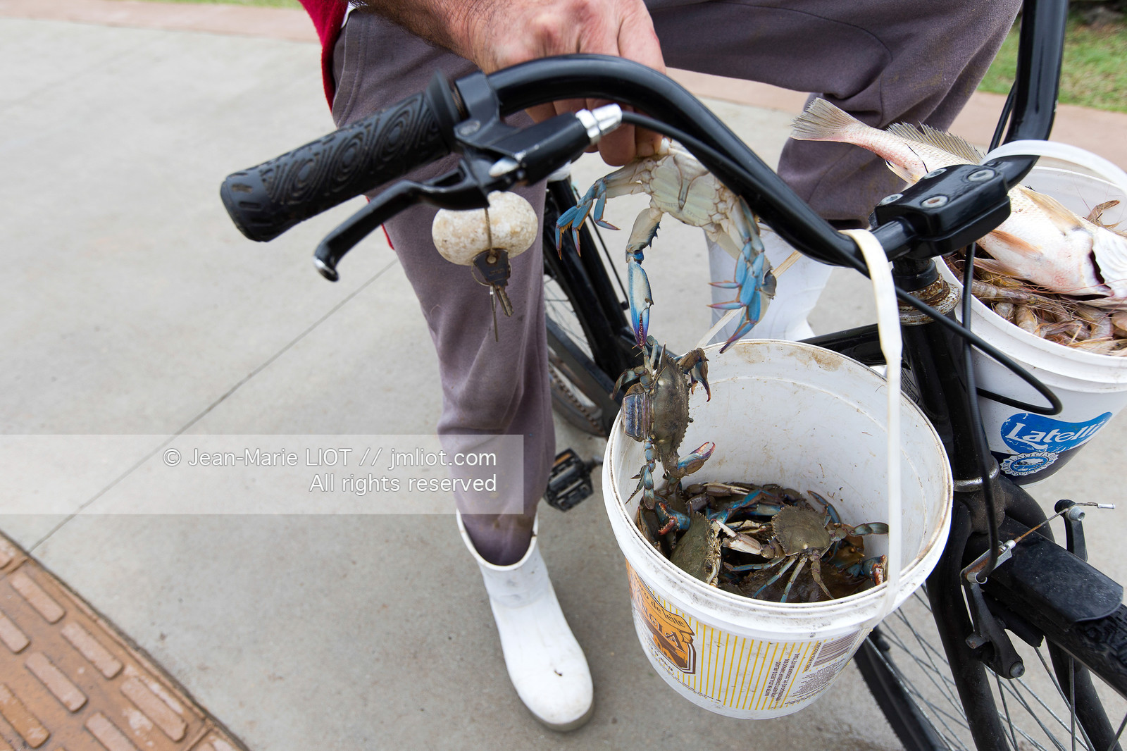 SAILING - TRANSAT JACQUES VABRE 2015 - ILLUSTRATION