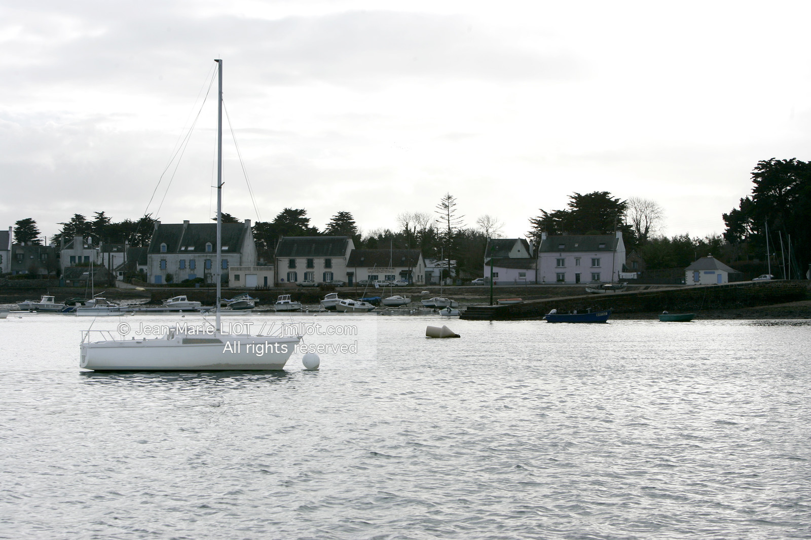 041227MORB_O8H6903 .jpg