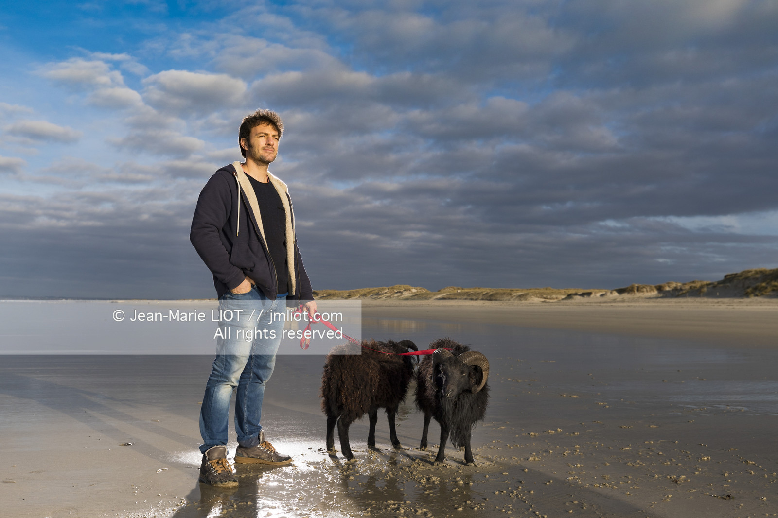 ERIC PERON - WILD LIFE