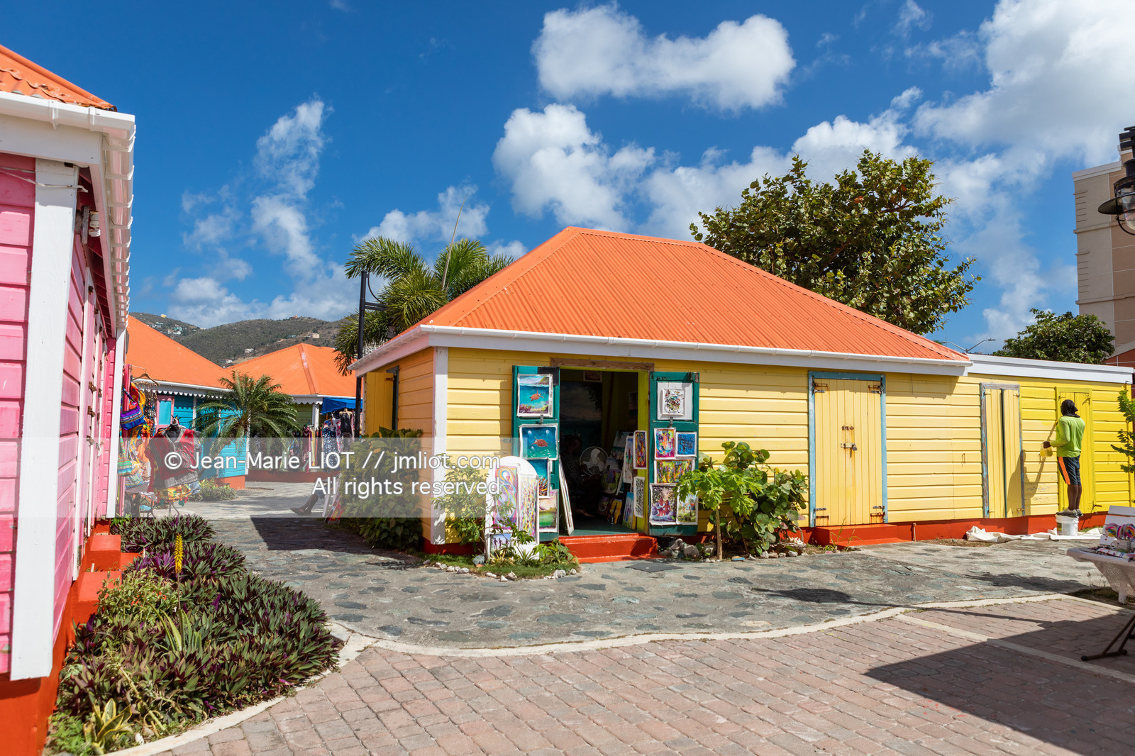 BRITISH VIRGIN ISLANDS 2019