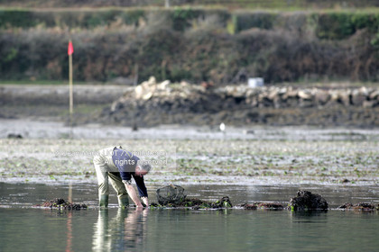 041227MORB_O8H6875 .jpg