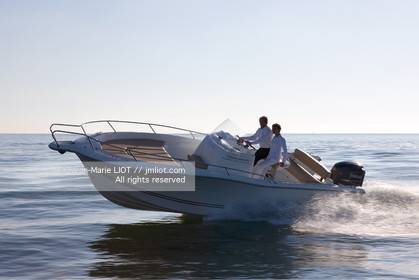 WHITE SHARK 246