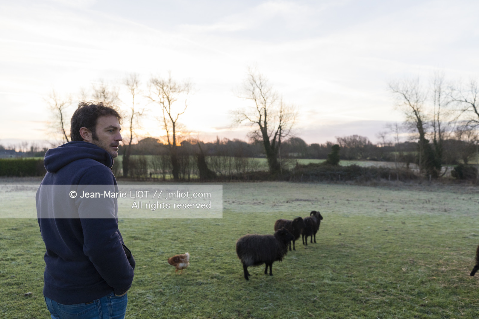 ERIC PERON - WILD LIFE