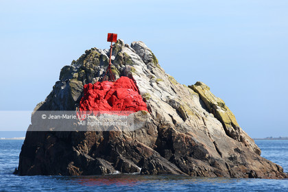 VOIILES ET VOILIERS - ILES OUBLIEES - ILE DE MOLENE