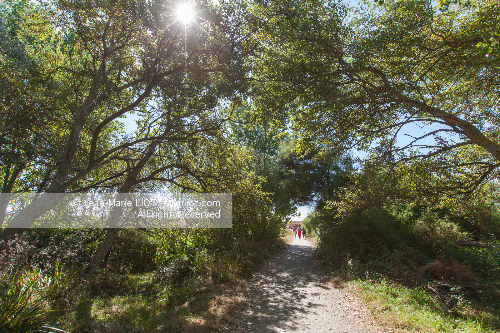 Bretange, Ile d'Hoëdic