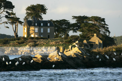 041227MORB_O8H7120 .jpg