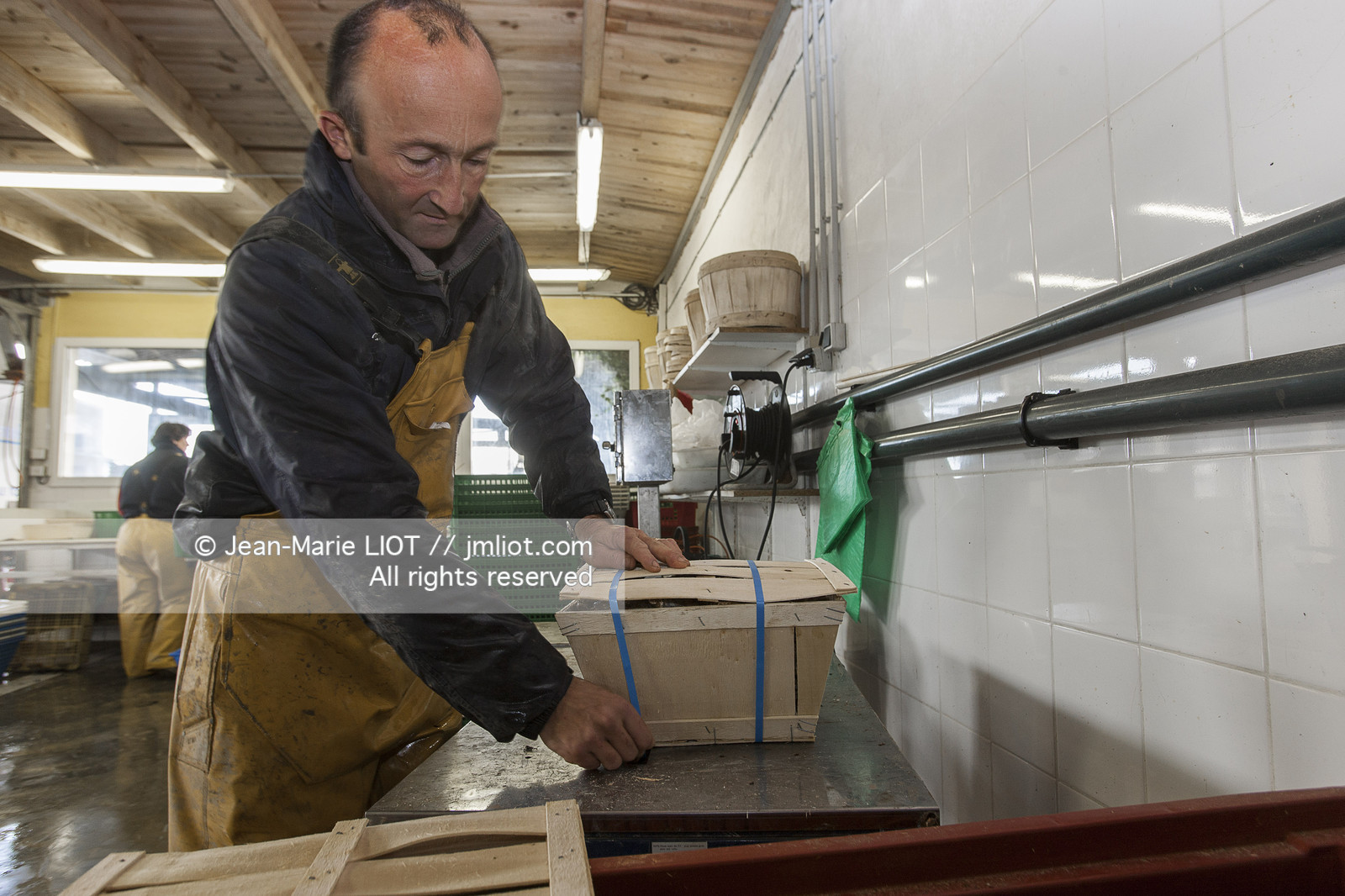 FERME OSTREICOLE.